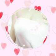 ヒメ日記 2026/02/19 16:36 投稿 石川 激安抜き処 熟女屋