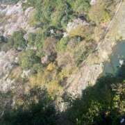 ヒメ日記 2025/04/05 10:13 投稿 真鍋 いよ 京都ホットポイント