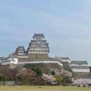 ヒメ日記 2025/04/08 09:38 投稿 真鍋 いよ 京都ホットポイント