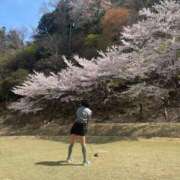 ヒメ日記 2025/04/17 10:42 投稿 真鍋 いよ 京都ホットポイント