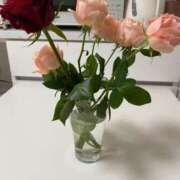 ヒメ日記 2025/05/10 13:10 投稿 真鍋 いよ 京都ホットポイント