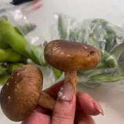 ヒメ日記 2025/05/19 17:44 投稿 真鍋 いよ 京都ホットポイント