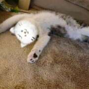 ヒメ日記 2025/06/23 16:15 投稿 真鍋 いよ 京都ホットポイント