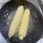 ヒメ日記 2025/07/01 10:30 投稿 真鍋 いよ 京都ホットポイント