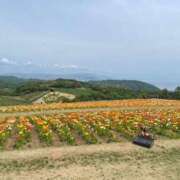 ヒメ日記 2026/05/13 11:35 投稿 真鍋 いよ 京都ホットポイント