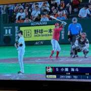 ヒメ日記 2026/07/20 19:51 投稿 真鍋 いよ 京都ホットポイント