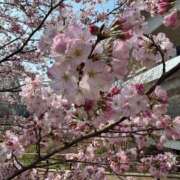 ヒメ日記 2025/03/29 17:56 投稿 池田 熟女の風俗最終章 新横浜店