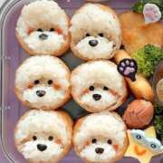 ヒメ日記 2025/05/21 22:36 投稿 池田 熟女の風俗最終章 新横浜店