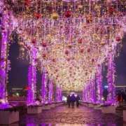 ヒメ日記 2025/11/12 01:16 投稿 池田 熟女の風俗最終章 新横浜店