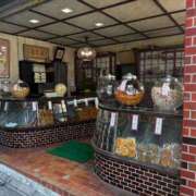 ヒメ日記 2025/11/29 17:56 投稿 池田 熟女の風俗最終章 新横浜店