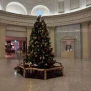 ヒメ日記 2025/12/25 00:16 投稿 池田 熟女の風俗最終章 新横浜店