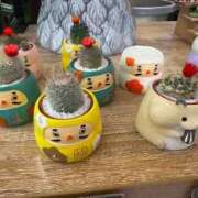 ヒメ日記 2026/01/04 10:33 投稿 池田 熟女の風俗最終章 新横浜店