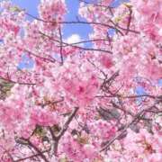 ヒメ日記 2026/04/07 18:25 投稿 池田 熟女の風俗最終章 新横浜店