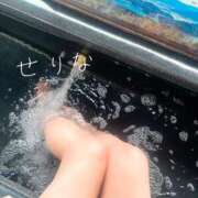 ヒメ日記 2025/02/08 20:17 投稿 せりな 横浜回春性感マッサージ倶楽部