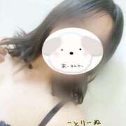 ヒメ日記 2025/03/16 10:43 投稿 ことり CLUB DEEP 博多