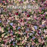 ヒメ日記 2025/04/01 19:06 投稿 まな 神田エマニエル