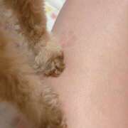 ヒメ日記 2025/04/15 18:37 投稿 まな 神田エマニエル