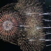 ヒメ日記 2025/06/20 18:30 投稿 まな 神田エマニエル