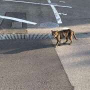 ヒメ日記 2025/06/30 07:04 投稿 せいな パリス雄琴店