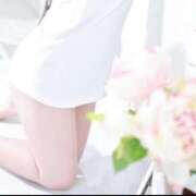 ヒメ日記 2025/07/24 21:42 投稿 せいな パリス雄琴店