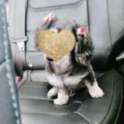 ヒメ日記 2025/02/20 15:05 投稿 如月　愛華 タッチVIP