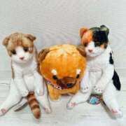 ヒメ日記 2025/02/27 15:07 投稿 如月　愛華 タッチVIP