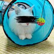 ヒメ日記 2025/03/12 15:19 投稿 如月　愛華 タッチVIP