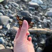 ヒメ日記 2025/03/25 15:33 投稿 如月　愛華 タッチVIP