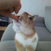 ヒメ日記 2025/04/02 15:04 投稿 如月　愛華 タッチVIP