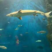 ヒメ日記 2025/04/25 15:04 投稿 如月　愛華 タッチVIP