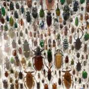 ヒメ日記 2025/04/26 15:04 投稿 如月　愛華 タッチVIP