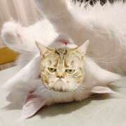 ヒメ日記 2025/05/06 15:03 投稿 如月　愛華 タッチVIP