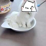 ヒメ日記 2025/06/05 14:48 投稿 如月　愛華 タッチVIP