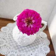 ヒメ日記 2025/06/14 14:42 投稿 如月　愛華 タッチVIP