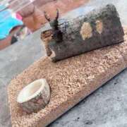 ヒメ日記 2025/06/17 15:03 投稿 如月　愛華 タッチVIP