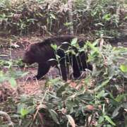 ヒメ日記 2025/07/06 14:42 投稿 如月　愛華 タッチVIP