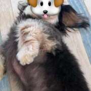 ヒメ日記 2025/07/12 14:43 投稿 如月　愛華 タッチVIP