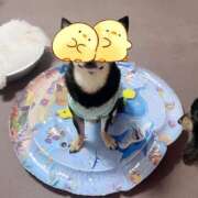 ヒメ日記 2025/07/20 14:36 投稿 如月　愛華 タッチVIP