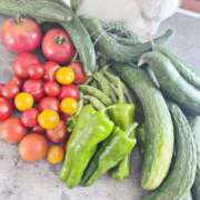 ヒメ日記 2025/08/11 14:45 投稿 如月　愛華 タッチVIP