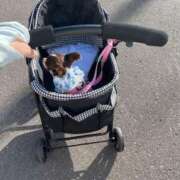 ヒメ日記 2025/08/20 15:03 投稿 如月　愛華 タッチVIP