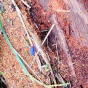 ヒメ日記 2025/08/26 15:00 投稿 如月　愛華 タッチVIP