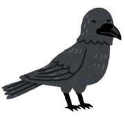 ヒメ日記 2025/09/19 15:00 投稿 如月　愛華 タッチVIP