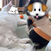 ヒメ日記 2025/10/06 14:51 投稿 如月　愛華 タッチVIP