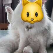 ヒメ日記 2025/10/12 14:51 投稿 如月　愛華 タッチVIP