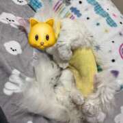 ヒメ日記 2025/10/26 14:33 投稿 如月　愛華 タッチVIP