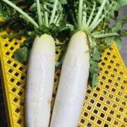 ヒメ日記 2025/11/14 14:48 投稿 如月　愛華 タッチVIP