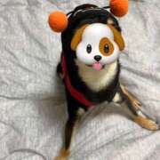 ヒメ日記 2025/11/15 14:48 投稿 如月　愛華 タッチVIP