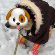 ヒメ日記 2025/11/19 14:33 投稿 如月　愛華 タッチVIP