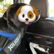 ヒメ日記 2025/11/23 14:48 投稿 如月　愛華 タッチVIP