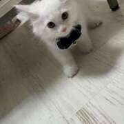 ヒメ日記 2025/12/17 14:27 投稿 如月　愛華 タッチVIP